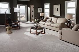 what to expect with a carpet installation