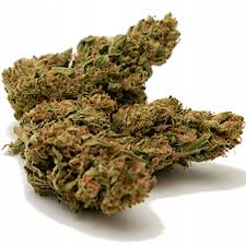 Marijuana, or marihuana, is a name for the cannabis plant and more specifically a drug preparation from it. 10g Susz Cbd Amnesia Skunk 20 Marihuana Thc Weed 9624911072 Allegro Pl