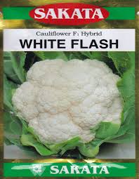 Арбуз елоу батеркап f1 код: White Flash F1 Hybrid N Seeds