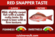 What does snapper fish taste like?