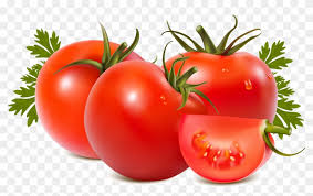 Tomato Slice Clipart Download - Tomato Png - Free Transparent PNG Clipart  Images Download