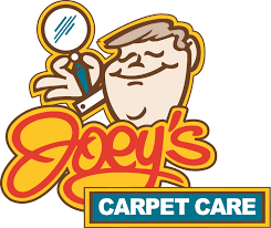 carpet cleaning lexington ky joey s