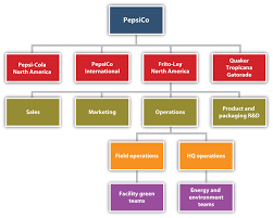 Frito Lay Organisational Structure Operations Management