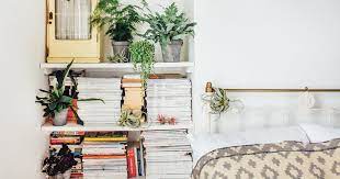 why indoor plants make you feel better