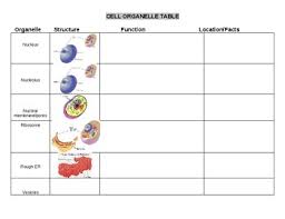 Cell Organelles Blank Notes Chart