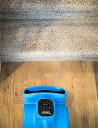 smelly carpet after cleaning how to
