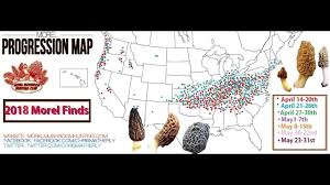 Maps Morel Mushroom Hunting Chat And Forums