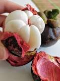 Is mangosteen legal in the US?