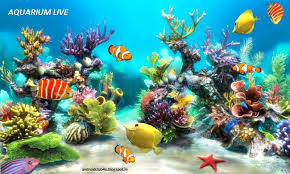 46 live aquarium wallpaper free
