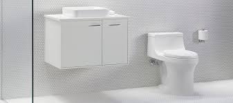 choosing the right toilet for your home