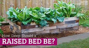 how deep should a raised garden bed be
