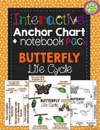 Interactive Anchor Chart Interactive Notebook Butterfly Life Cycle