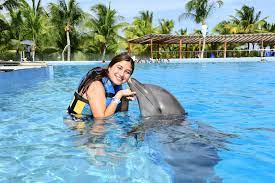 before swimming with dolphins in cancun