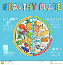 Healthy Plate Nutrition Proportions Stock Vector