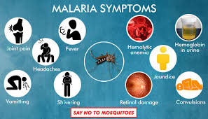 Hasil gambar untuk malaria