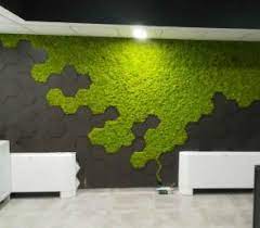 Зелени стени от скандинавски мъх, интериорен мъх и други видове презервирани растения от биоборд. Zeleni Steni Skandinavski Mh Bioboard