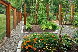 Vegetable Garden Design