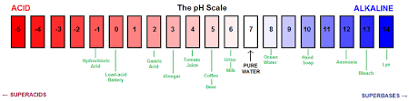 Properly Maintaining The Ph In A Freshwater Aquarium