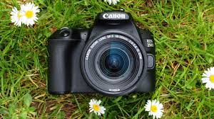 Canon EOS 250D review