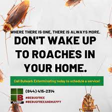 Looking for a preventive pest control? Pinterest Quote Bulwark Exterminating Bulwark Pest Control Life Is Strange