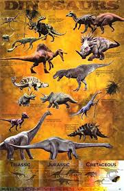 Dinosaur Chart Maxi Poster 61 Cm X 91 5 Cm Amazon Co Uk