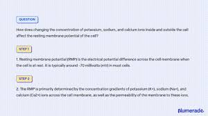 potium sodium and calcium ions