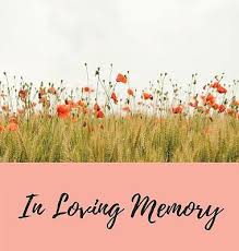 Your loved ones deserve a proper tribute: Book Of Condolence Memory Book Comments Book Condolence Book For Funeral Remembrance Celebration Of Life Free Delivery At Eden Co Uk