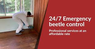 beetle control adelaide professional