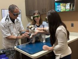 You're greeted by friendly office staff, the vet techs are wonderful. Medical Services Veterinarians Cedar Rapids Petersen Pet Hospital