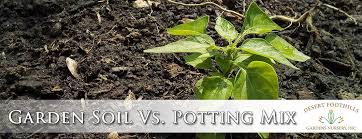 garden soil vs potting mix desert