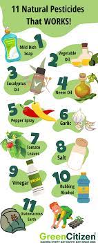 natural pesticides for your garden