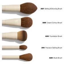 ariel signature 5 piece face brush set