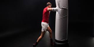 top 7 best punching bag brands in india