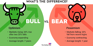 bull vs bear market what investors
