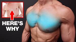 the real reason your pecs won t grow