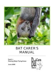 bat carer s manual bat conservation