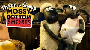 Trông nom timmy | Mossy Bottom Shorts | Những Chú Cừu Thông Minh [Shaun the  Sheep] - YouTube