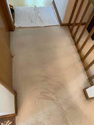 professional carpet cleaning service in