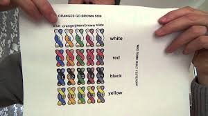 Telephone Wire Color Code Chart Best Picture Of Chart