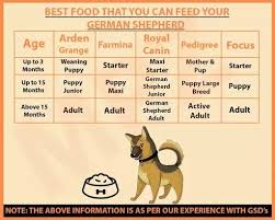 Which Royal Canin Food Can I Feed To My German Shepherd Dog