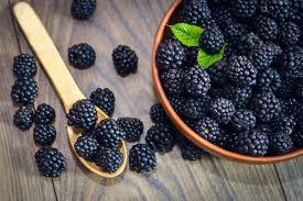 10 health benefits of blackberries w