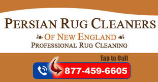 oriental rug cleaning ri pet odor