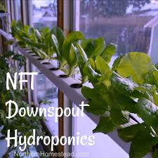 n f t downspout hydroponics setup