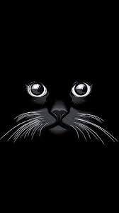 Black Cat Black Cat Hd Phone