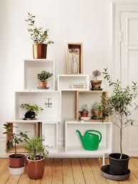 26 Mini Indoor Garden Ideas To Green