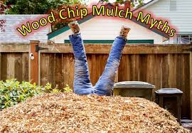 Wood Chip Mulch Myths Garden Myths