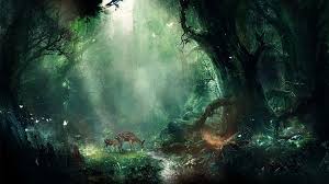 fantasy forest wallpaper hd 78 images