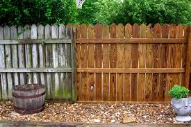 how to maintain your privacy fence