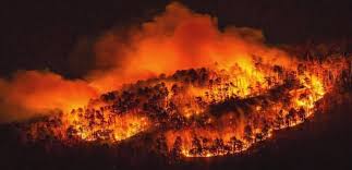 pilot mountain fire burns 1 000 acres