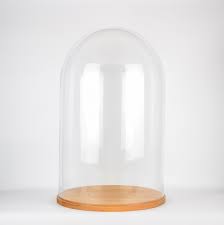 Large Glass Dome Cover Cloche Display